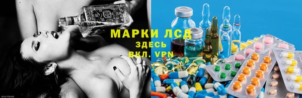 дживик Алзамай