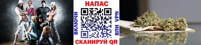 Марихуана Bruce Banner  купить  сайты  Островной 